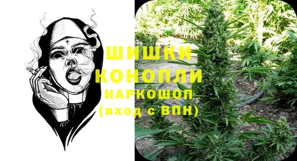 прущие грибы Ельня