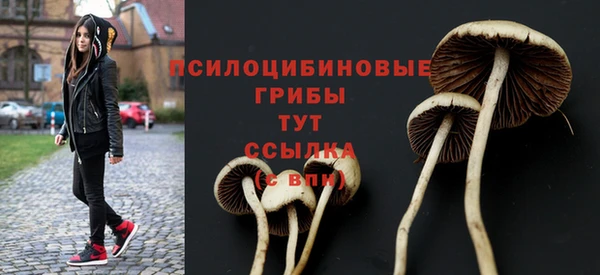 прущая мука Заводоуковск