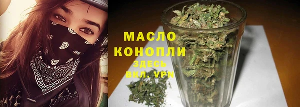 прущие грибы Ельня