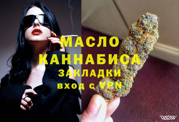 прущие грибы Ельня