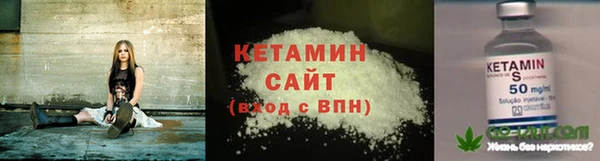прущие грибы Ельня
