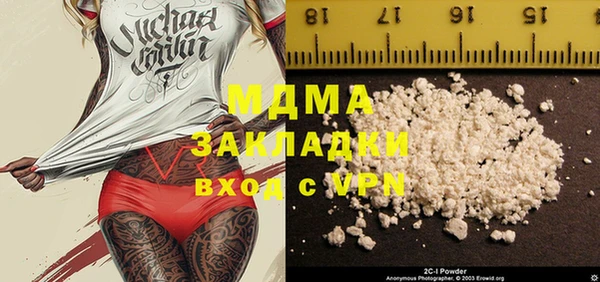 прущие грибы Ельня