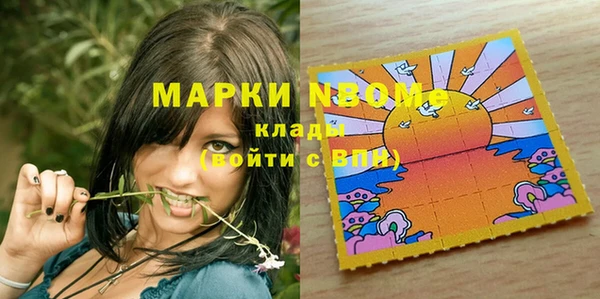 прущие грибы Ельня