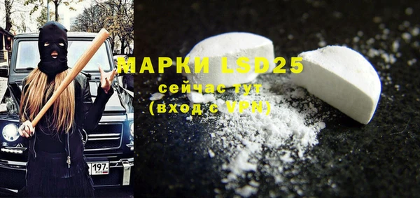 прущие грибы Ельня