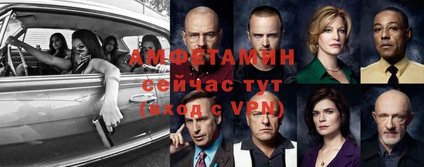 прущие грибы Ельня