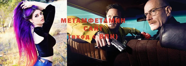 прущие грибы Ельня