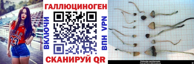 Галлюциногенные грибы Magic Shrooms  Купить закладки  Пыталово 
